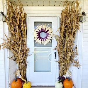 Dried Corn Stalk Bundle - Great for Fall Decorating!